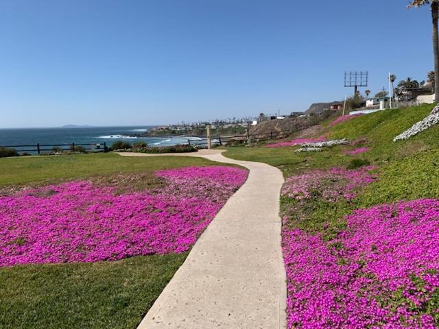 Beachfront Condo W Pools Steps To Beach & Mins To Dt Rosarito Exterior foto